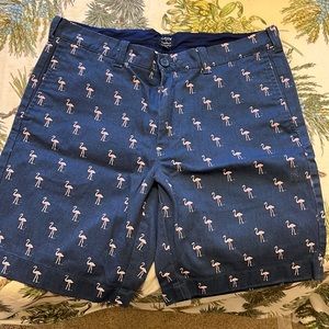 J crew Men’s Blue Flamingo shorts in 33W